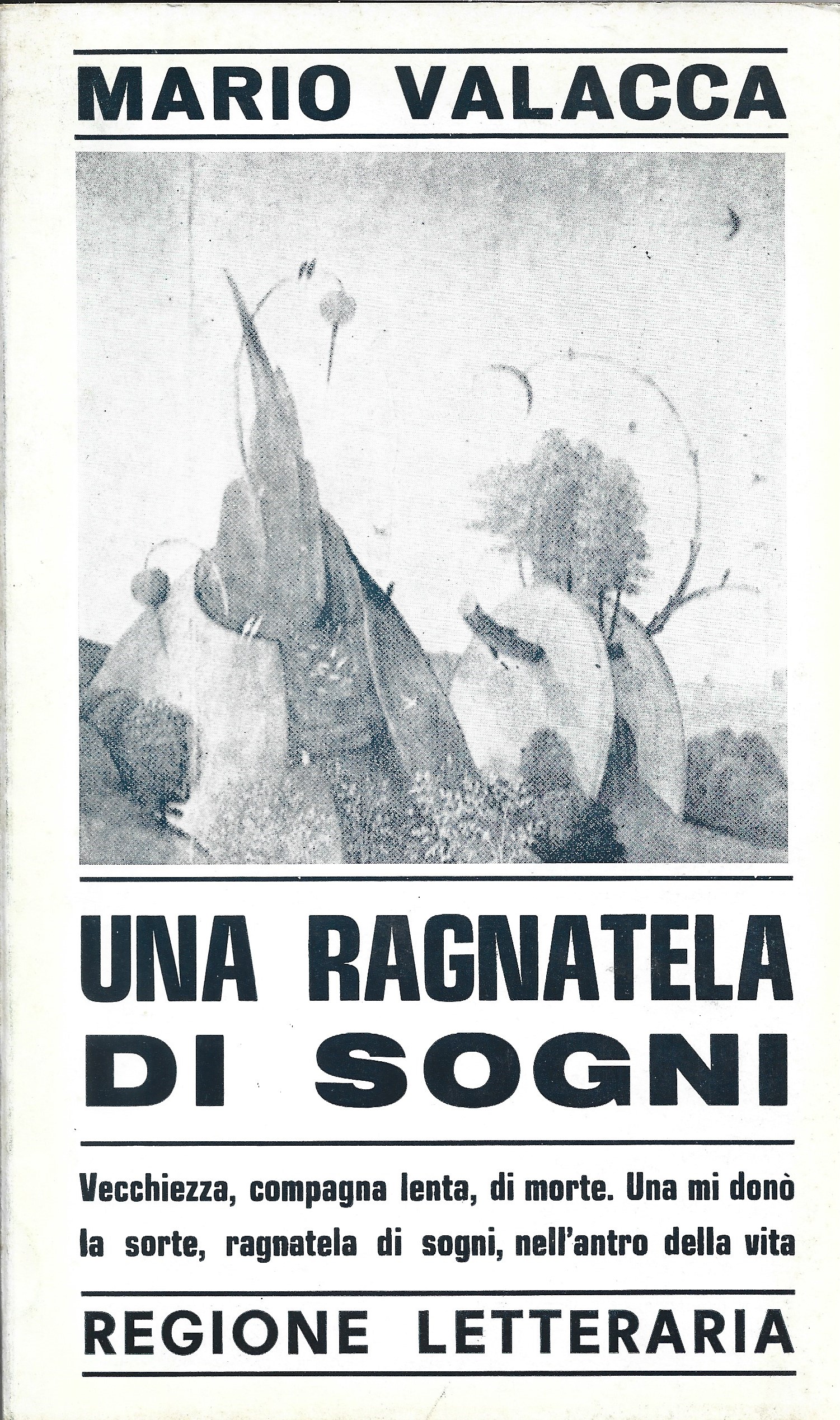 Una ragnatela di sogni.