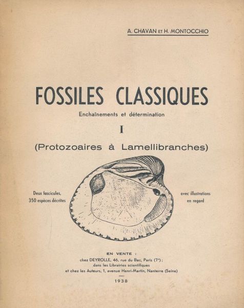 Fossiles classiques. Enchainements et determination