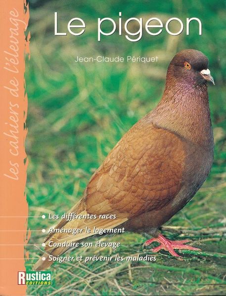 Le pigeon
