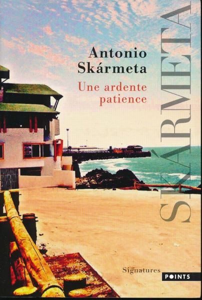 Une ardente patience