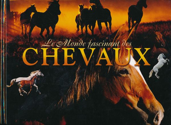 Le monde fascinant des chevaux