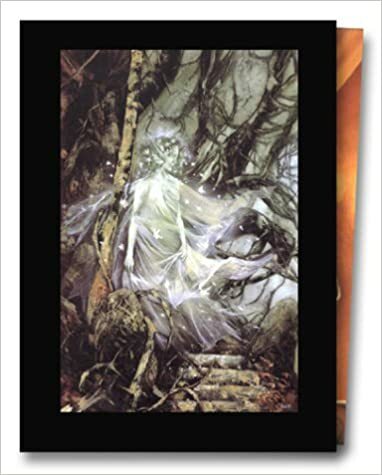 La graine de folie. 5 volumes en coffret