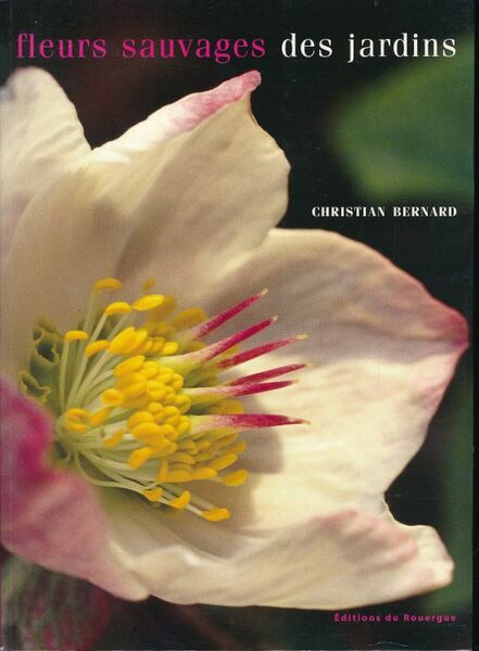Fleurs sauvages des jardins