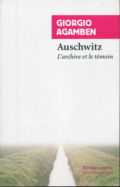 Auschwitz, l'archive et le témoin
