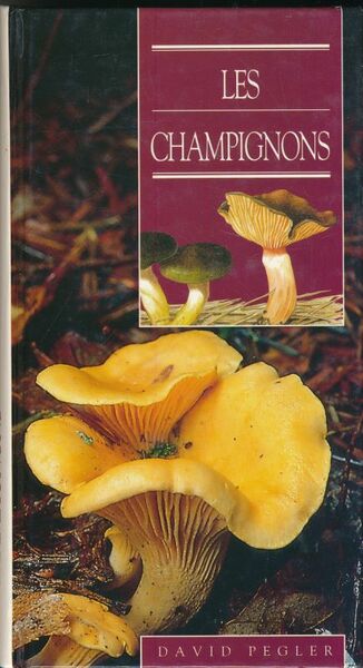 Les Champignons