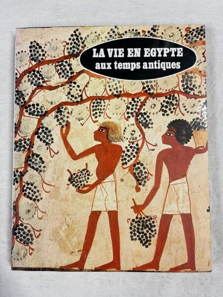 La vie en Egypte aux temps antiques