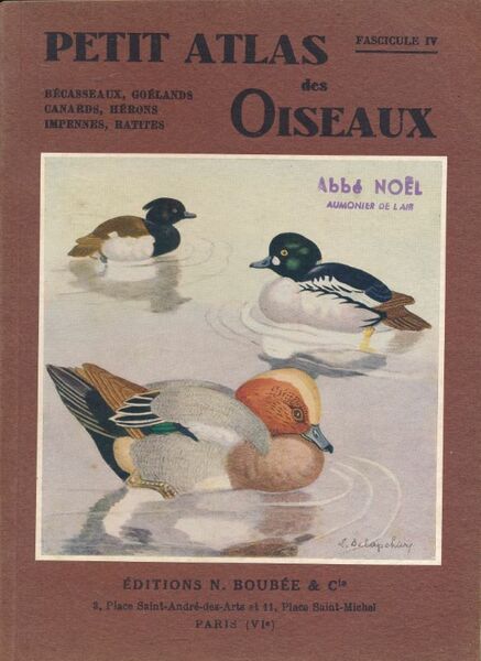 Petit atlas des oiseaux. Fascicule IV. Bécasseaux, goélands, canards, hérons, …