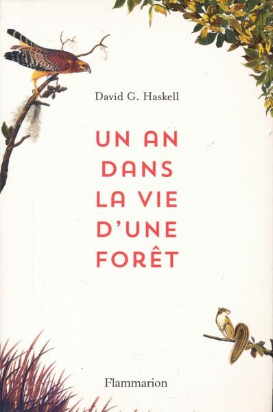 Un an dans la vie d'une forêt