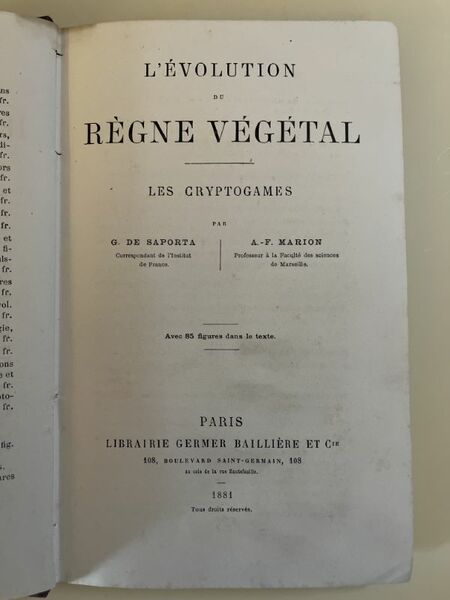 L'évolution du règne végétal. Les cryptogames