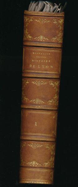 Histoire de la ville de Lyon. Revue et augmentée. 6 …