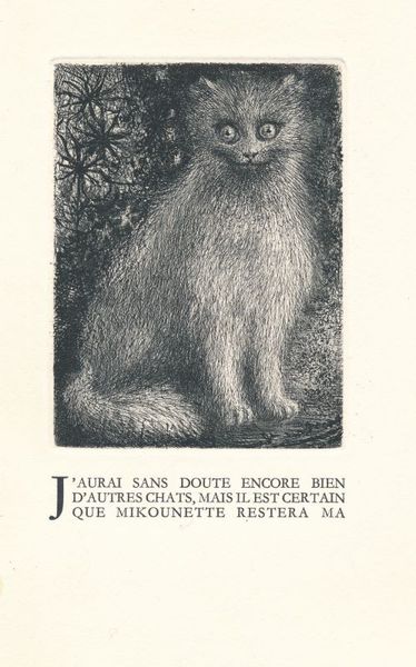 Histoires de bêtes