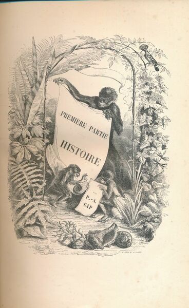 Le muséum d'histoire naturelle