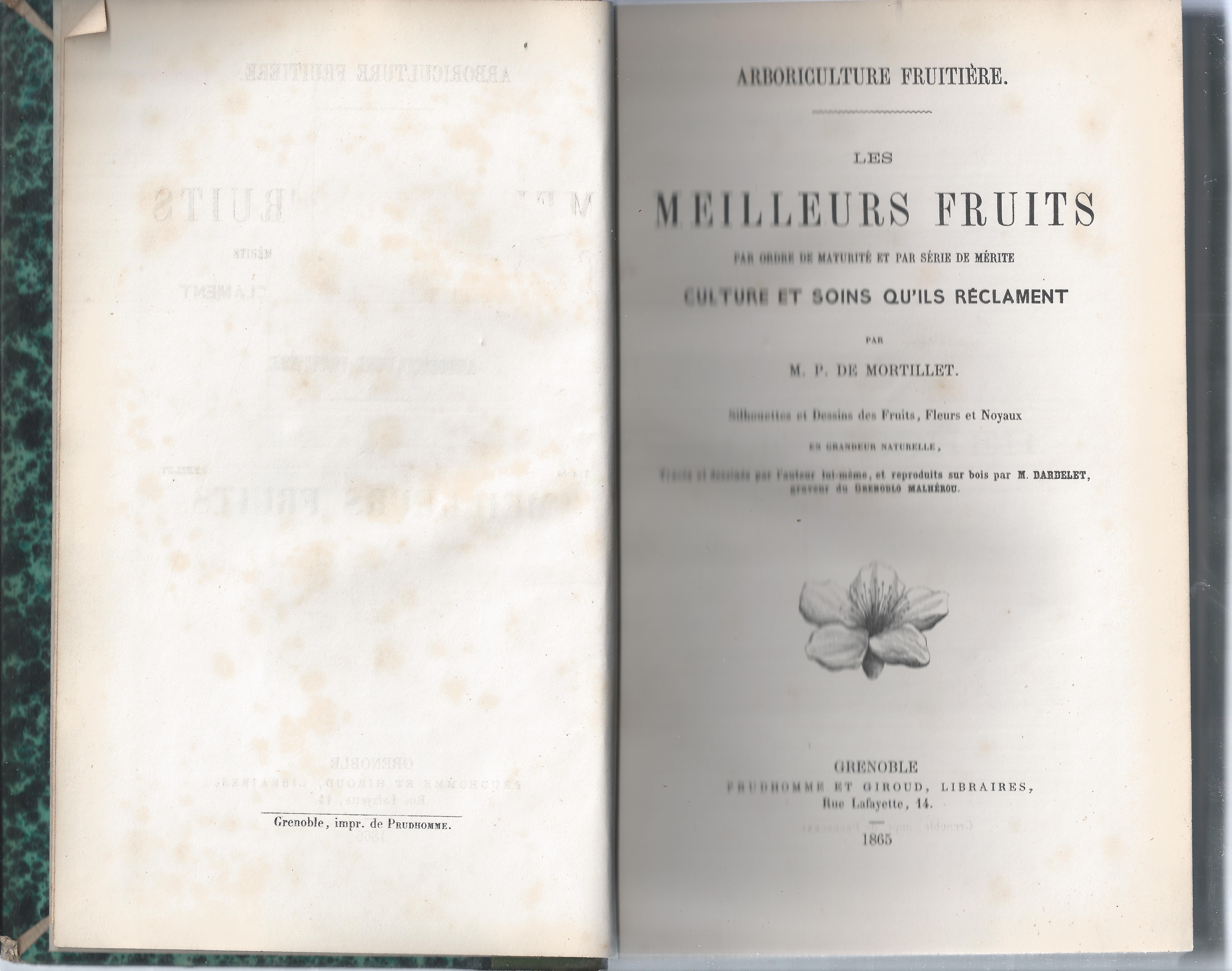 Arboriculture fruitière. Les meilleurs fruits par ordre de maturité et …