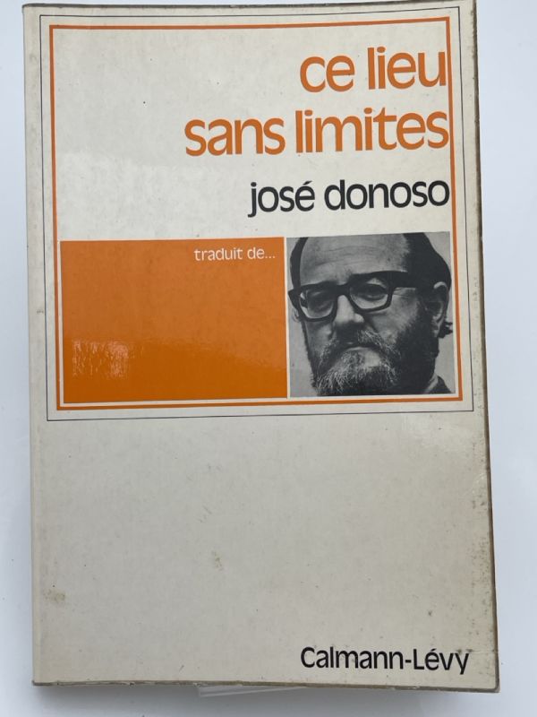 Ce lieu sans limites