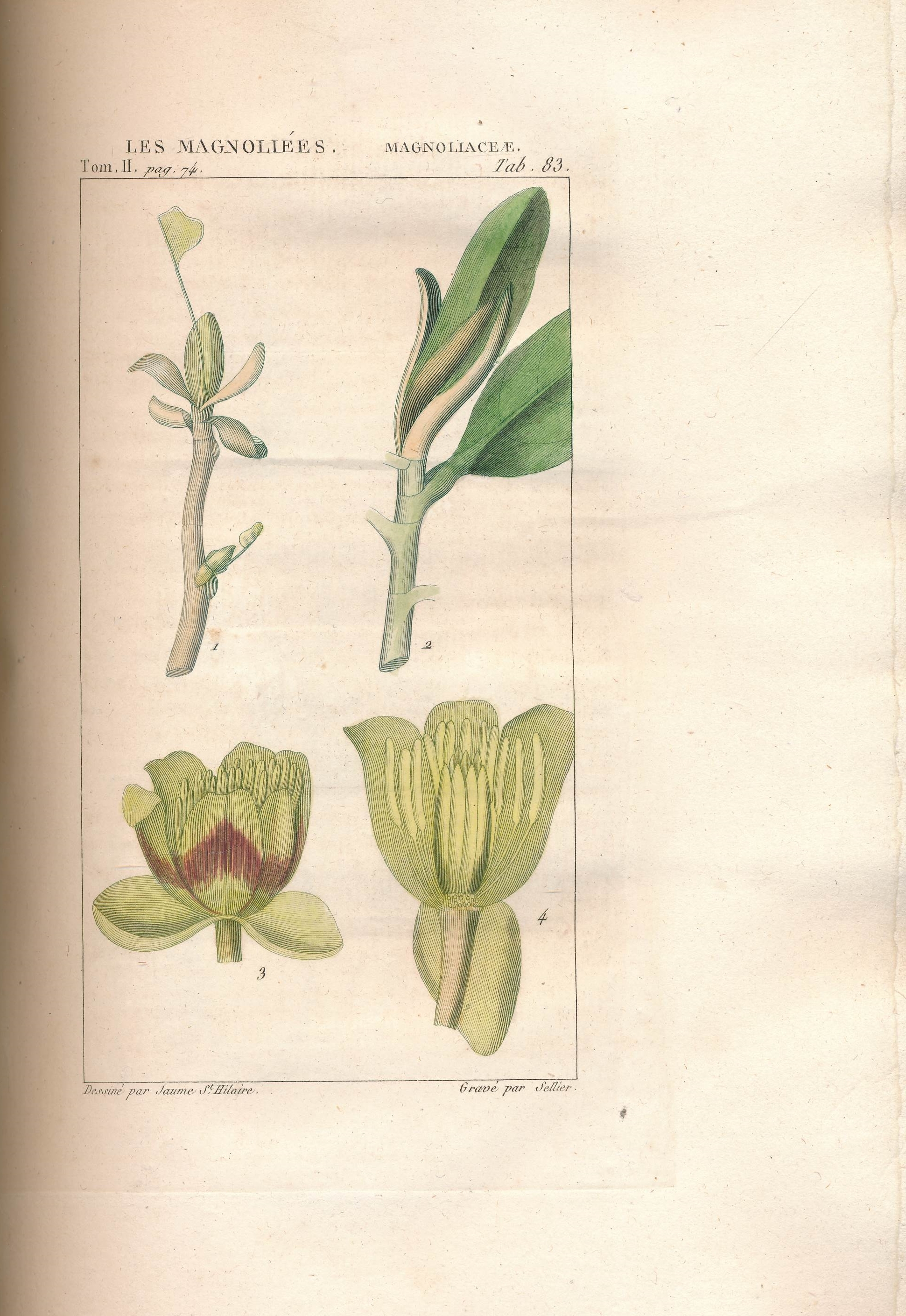 Exposition des familles naturelles et de la germination des plantes