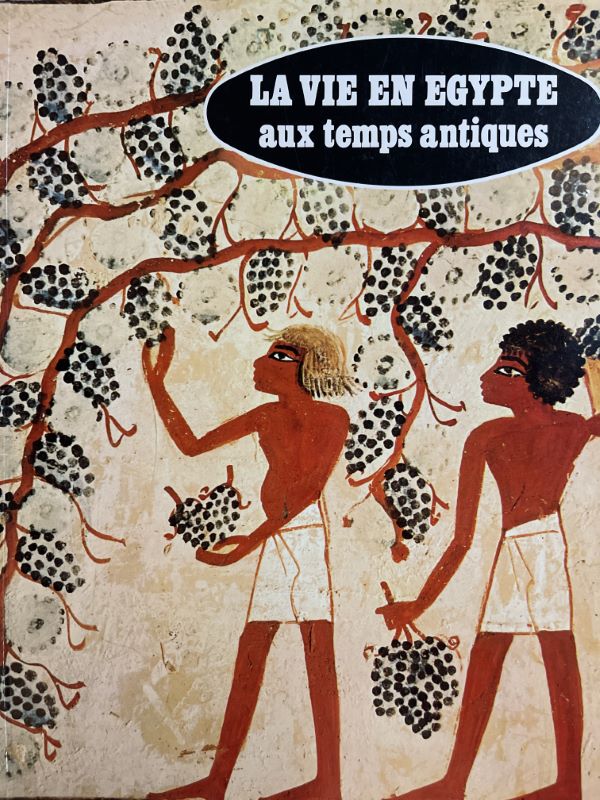 La vie en Egypte aux temps antiques