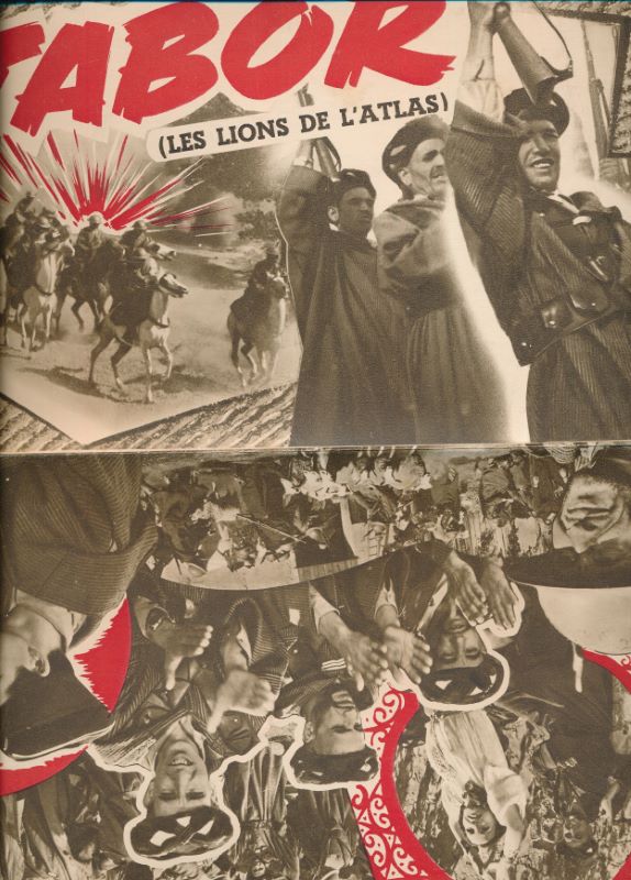 Tabor les lions de l'atlas