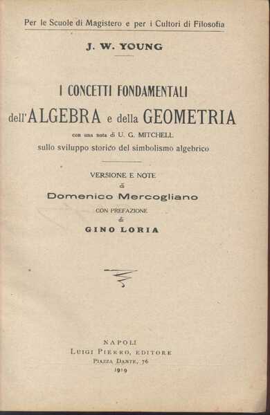 I Concetti Fondamentali dell'Algebra e della Geometria