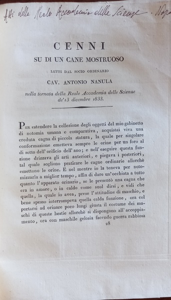 Cenni su di un cane mostruoso. Napoli, s.d. (1834).