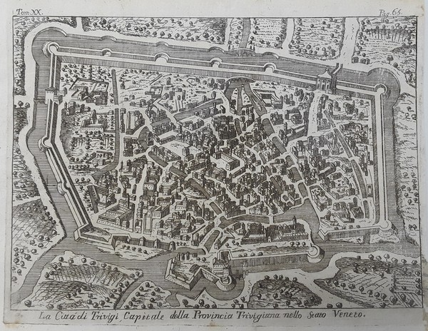 La Città di Trivigi Capitale della Provincia Trivigiana dello Stato …