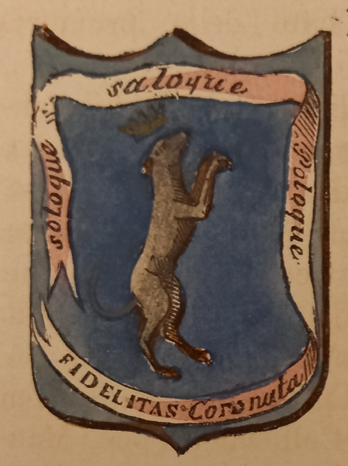 AMENO (NO). Stemma miniato. 1 pag. di testo.