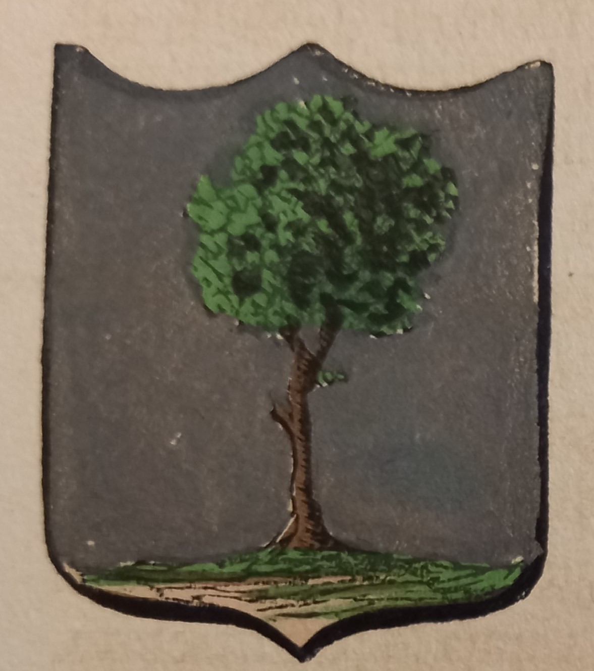 APIRO (MC). Stemma xilografato senza coloritura. 2 pagg. di testo.