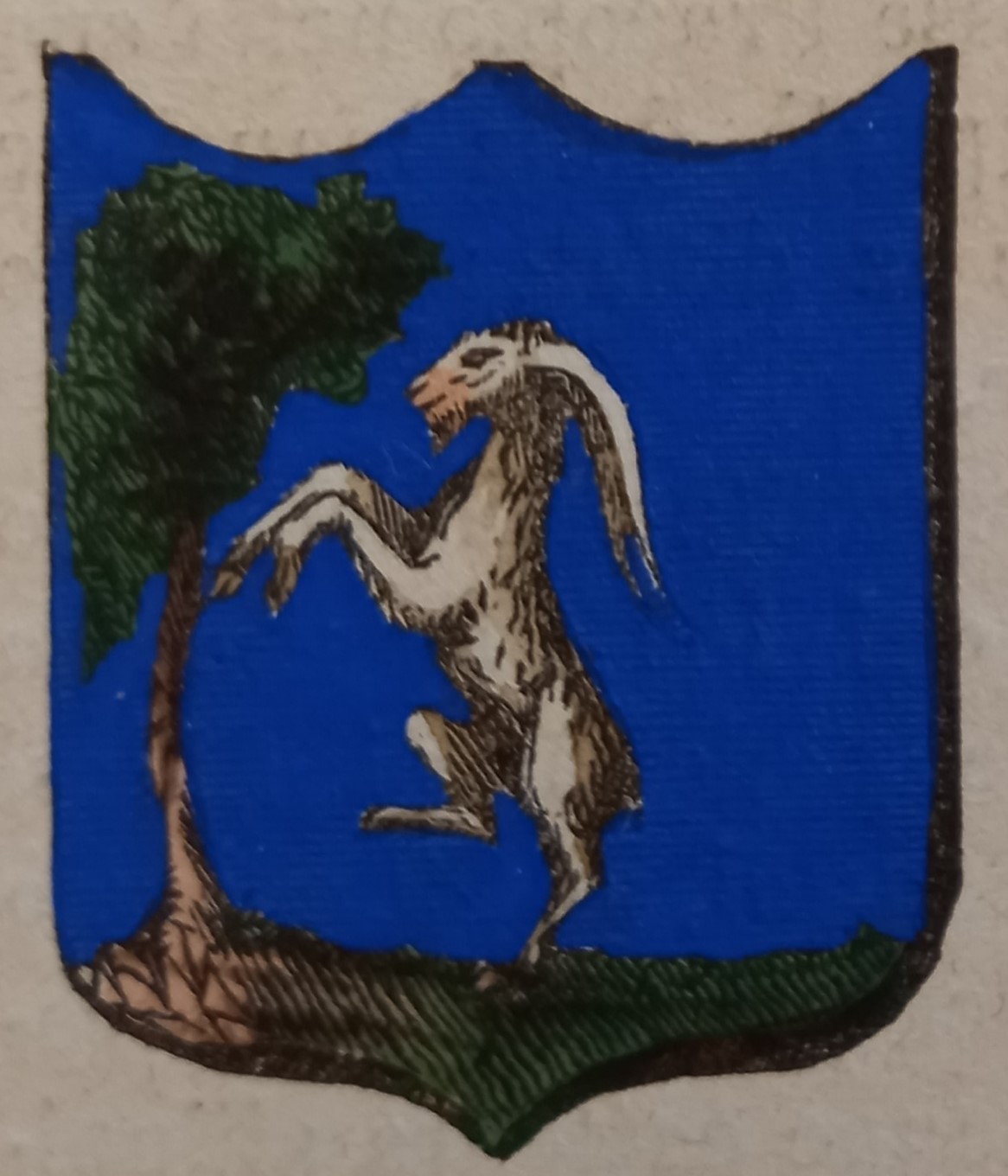 CAPRESE (AR). Stemma miniato. 2 pagg. di testo.