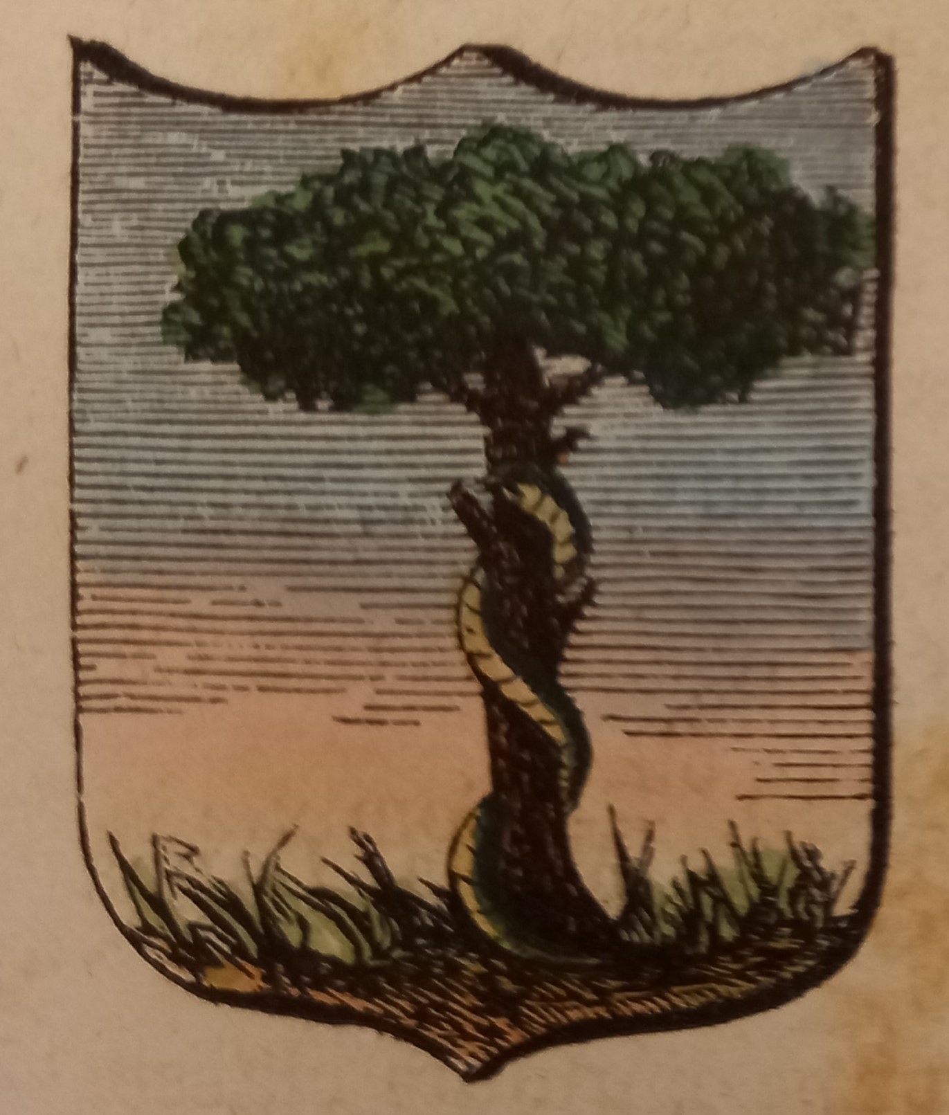 CASARANO (LE). Stemma miniato. 1 pag. di testo.