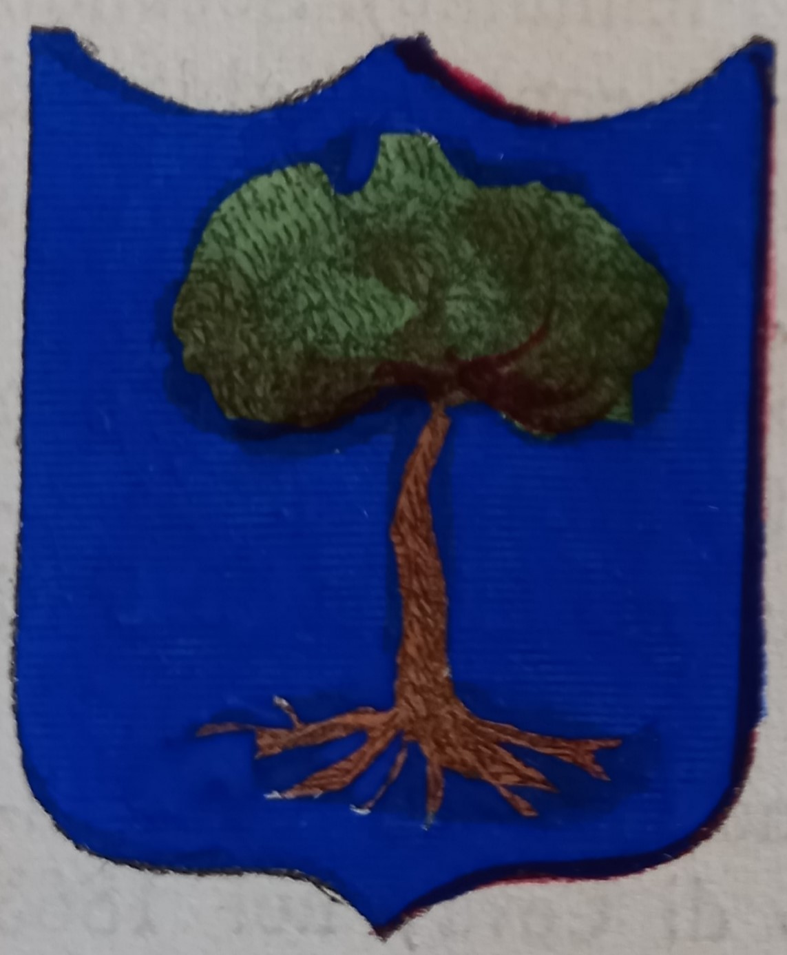 CASTELNUOVO DI CECINA (PI). Stemma miniato. 2 pagg. di testo.