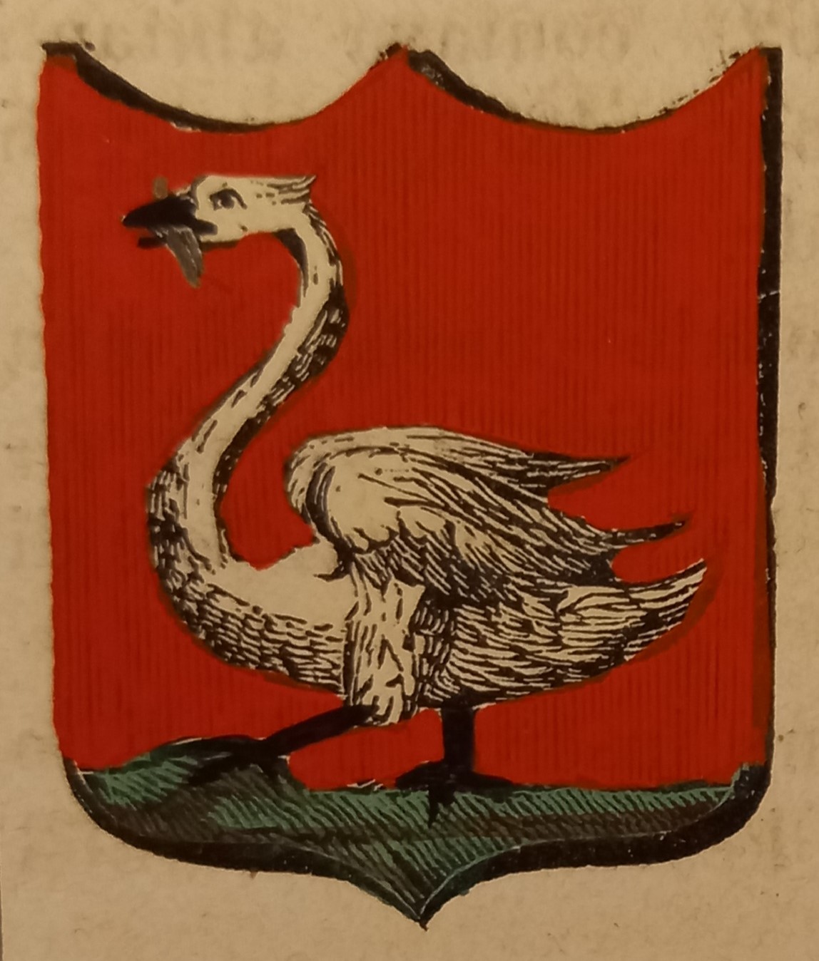 CINIGIANO (GR). Stemma miniato. 1 pag. di testo.