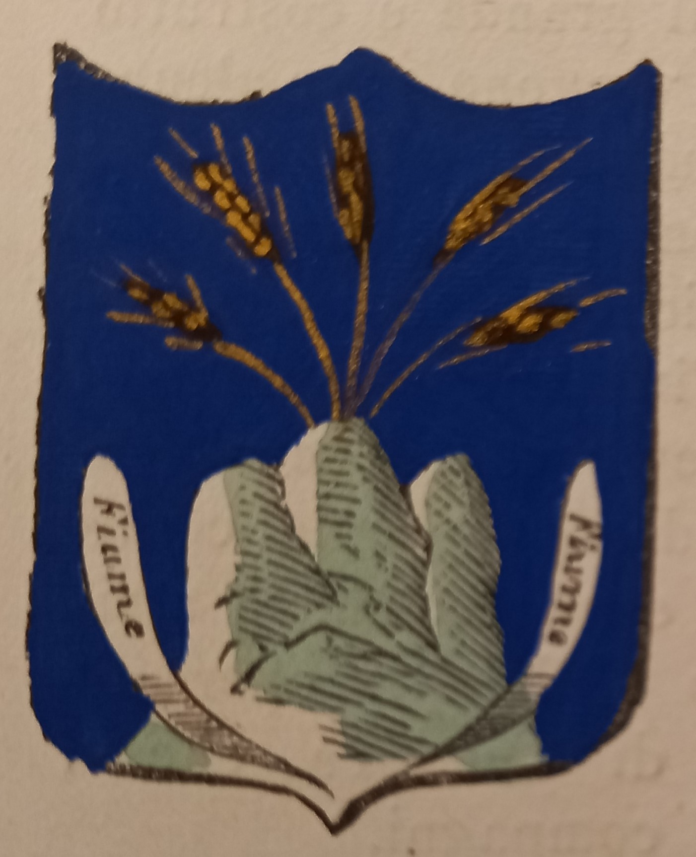 FLUMERI (AV). Stemma miniato. 1 pag. di testo.