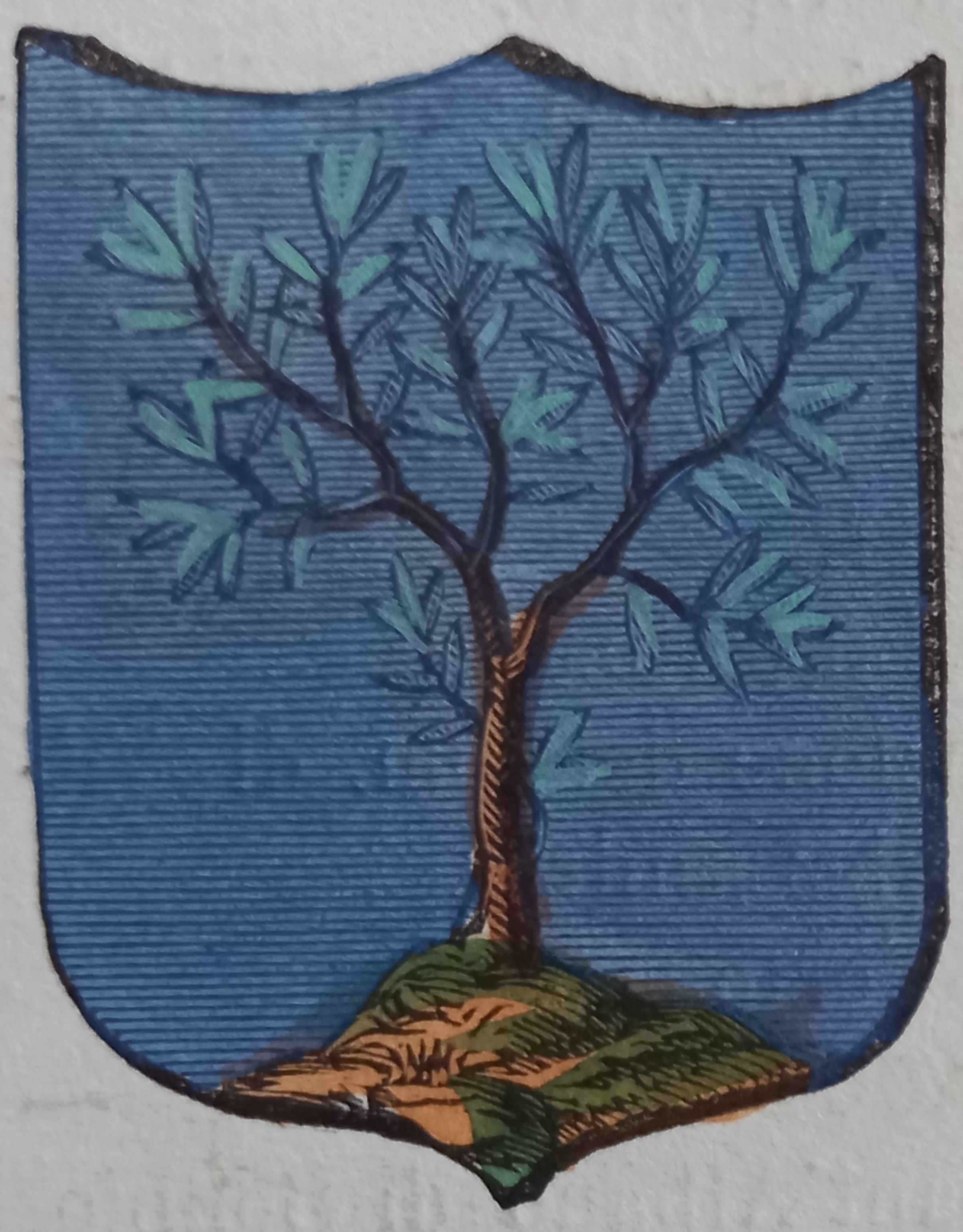 MONTEGRIDOLFO (RN). Stemma miniato. 1 pag. di testo.