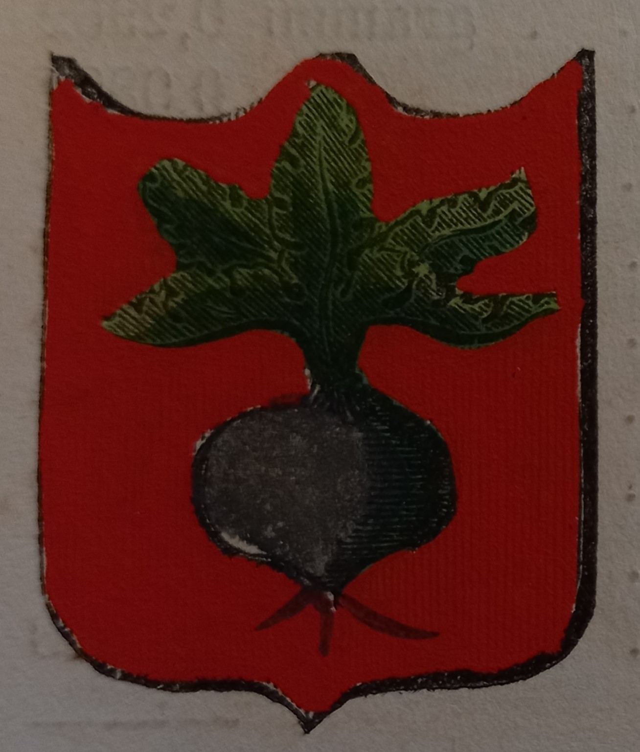 RAPOLANO (SI). Stemma miniato. 2 pagg. di testo.