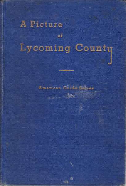 A PICTURE OF LYCOMING COUNTY