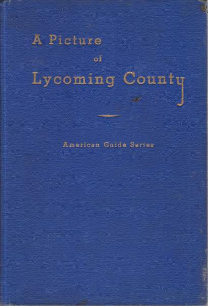 A PICTURE OF LYCOMING COUNTY