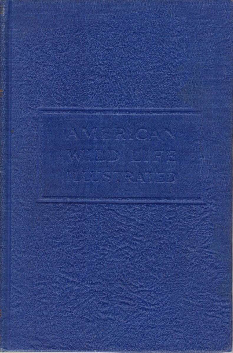 AMERICAN WILD LIFE ILLUSTRATED