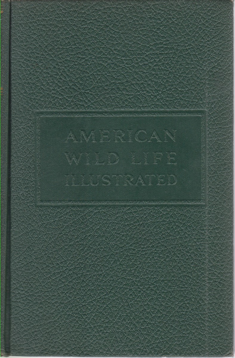AMERICAN WILD LIFE ILLUSTRATED