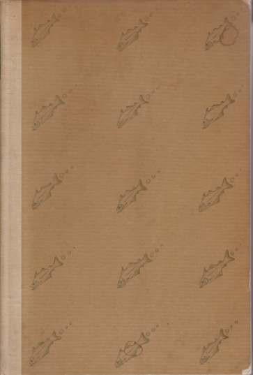 AN ICELAND FISHERMAN