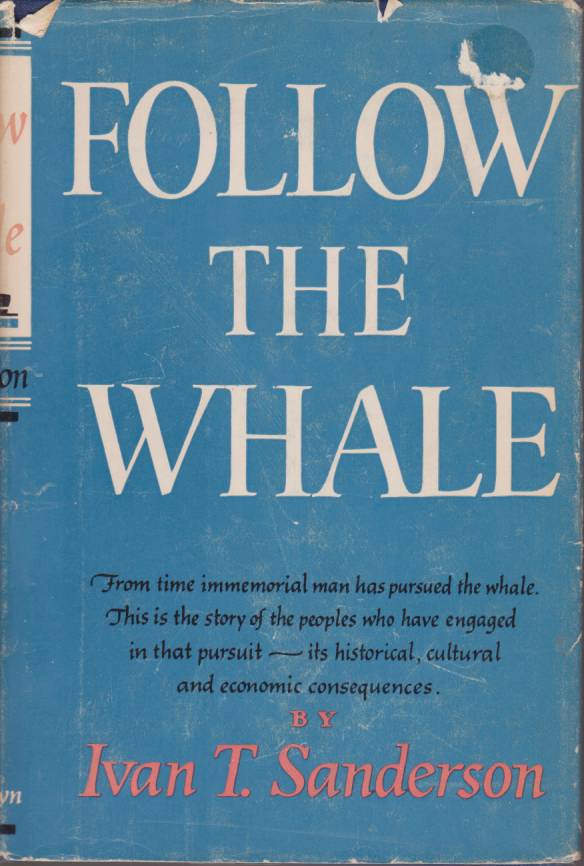 FOLLOW THE WHALE