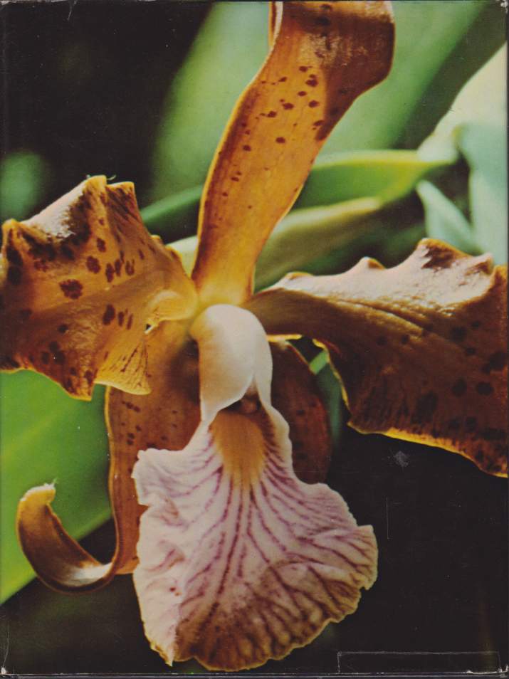 ORCHIDS & HOW TO GROW THEM