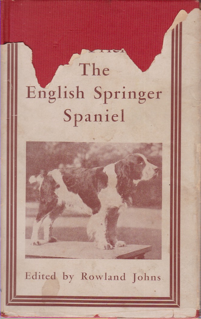 OUR FRIEND THE ENGLISH SPRINGER