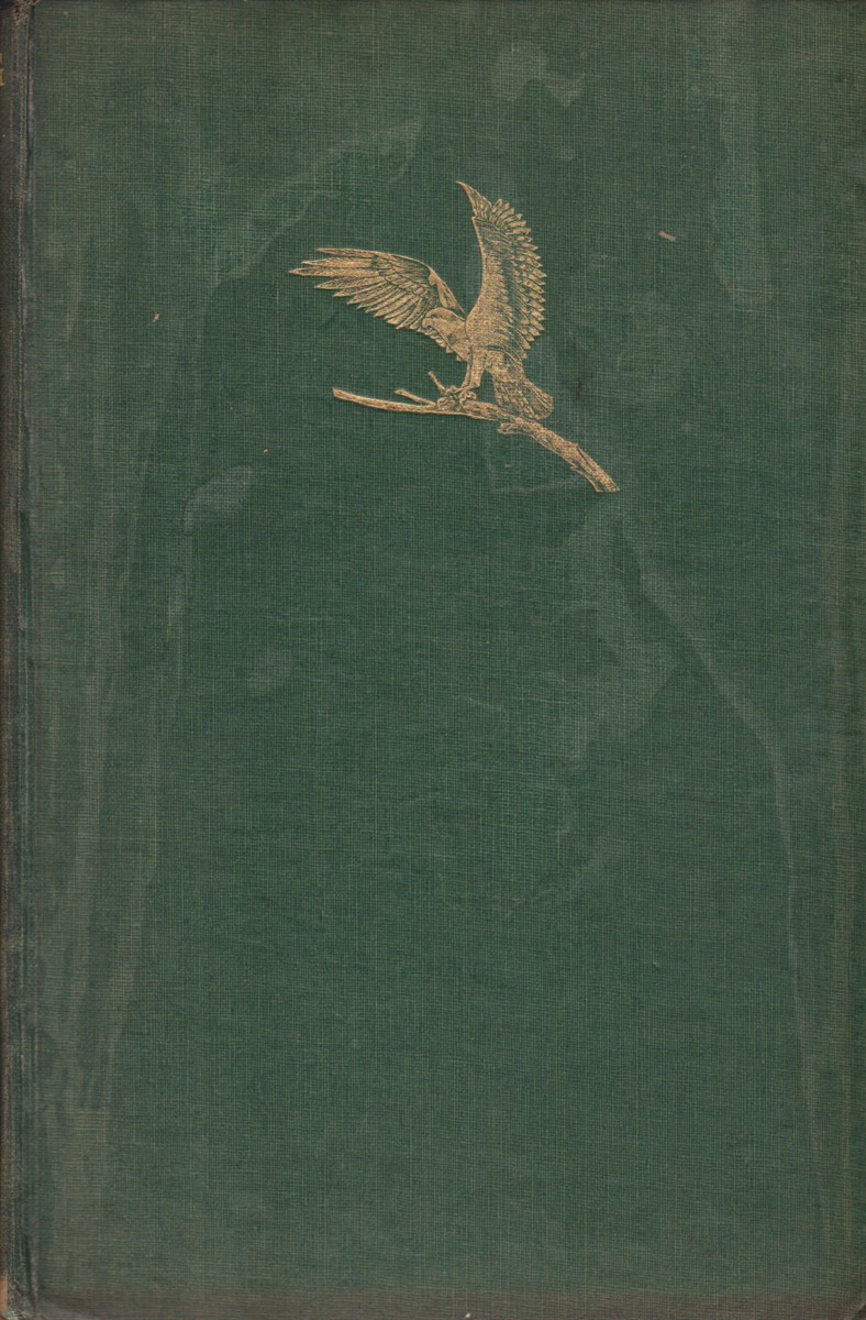 PHOTOGRAPHING WILD LIFE ACROSS THE WORLD