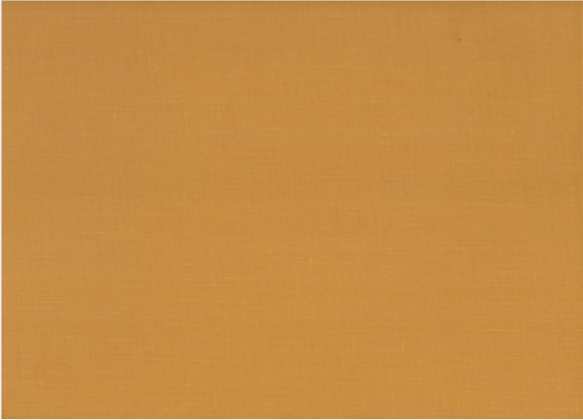 SAVANNAH REVISITED A Pictorial History