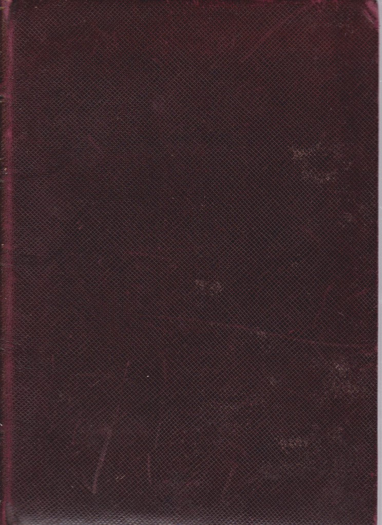 THE TRANQUIL ISLE [LA ILLA DE LA CALMA]