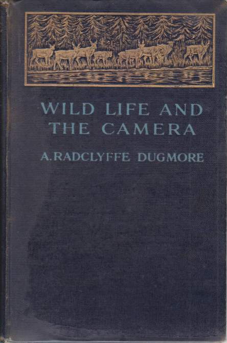 WILD LIFE AND THE CAMERA