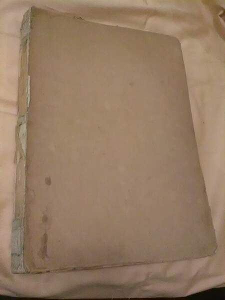 UNDICI MESI IN VIAGGIO(1892)