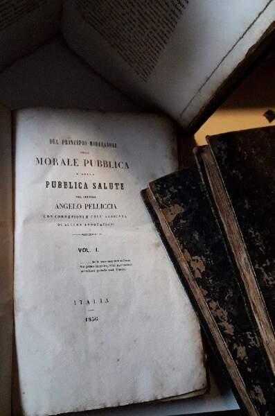 DEL PRINCIPIO MODERATORE DELLA MORALE PUBBLICA E DELLA PUBBLICA SALUTE …