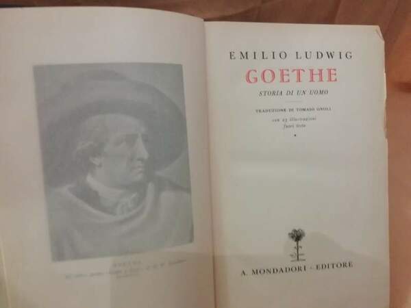GOETHE storia di un uomo (1932)