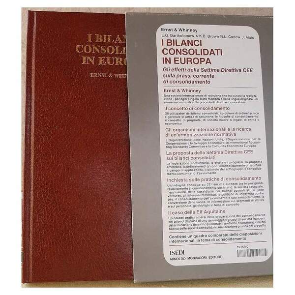 I BILANCI CONSOLIDATI IN EUROPA-ERNST &amp; WHINNEY( 1982)