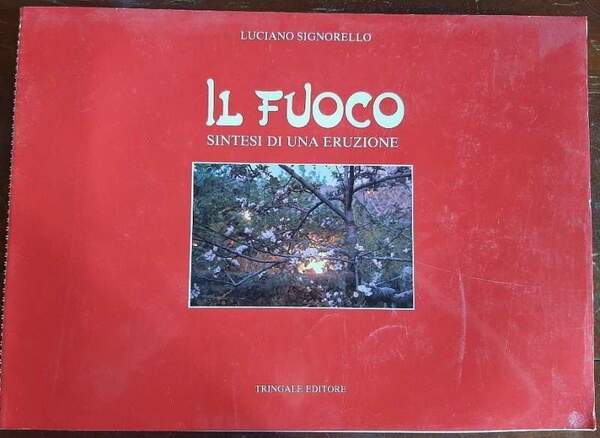 IL FUOCO- SINTESI DI UNA ERUZIONE(1985)